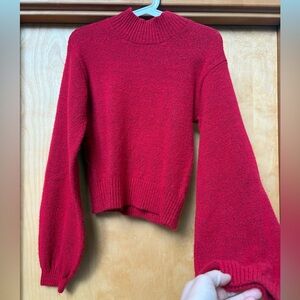 Wild Fable Red Turtleneck Sweater